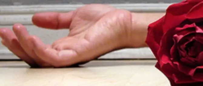 Falsa associazione contro il femminicidio, denunciati per truffa