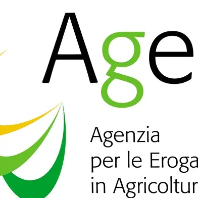 Truffa da 800mila euro all'Agea: in stato di fermo avvocatessa di Locri