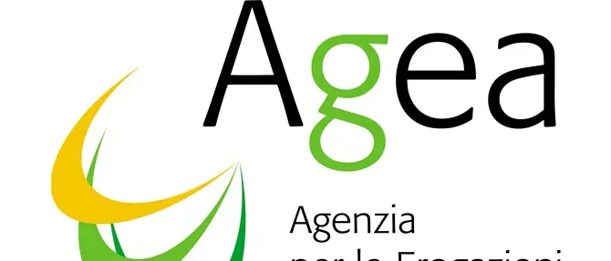 Truffa da 800mila euro all'Agea: in stato di fermo avvocatessa di Locri