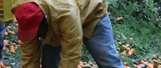 La Cgil in campo in difesa dei lavoratori immigrati di Gioia Tauro