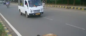 Allevatore di Cessaniti denunciato per omessa custodia