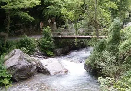 Il comune di Orsomarso annuncia il taglio di 500 alberi nella valle dell’Argentino