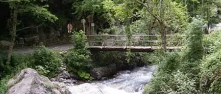 Il comune di Orsomarso annuncia il taglio di 500 alberi nella valle dell’Argentino