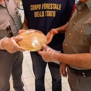 Reggio Calabria, sequestrati quattro quintali di alimenti e bevande