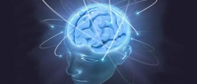 Catanzaro, un anomalia cerebrale potrebbe essere la causa del ‘dejà vu’