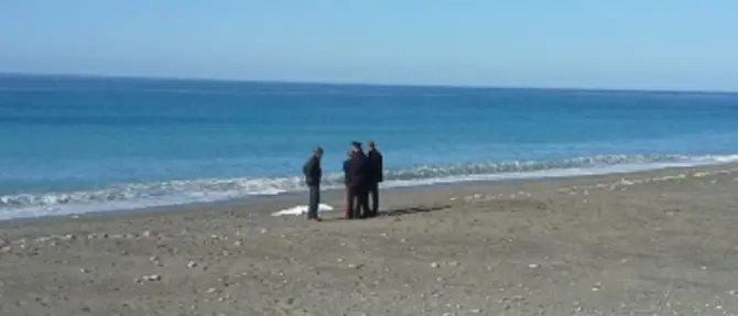 Cadavere sulla spiaggia di Paola: il corpo restituito dal mare (FOTO/VIDEO)