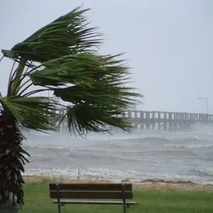 Maltempo: cade un palo della luce, ferito un uomo a Corigliano