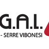 Nasce cogal.tv, la prima piattaforma web che si occuperà di promuovere e valorizzare il vibonese