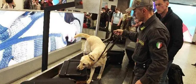 Tenta di esportare diciottomila euro in Cina, fermata una donna