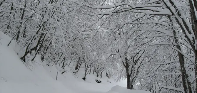 Neve in Calabria, tutto esaurito in Sila e Aspromonte