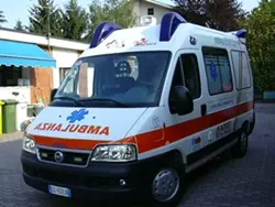 Influenza suina, quattro ricoveri a Lamezia (VIDEO)