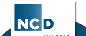 Ncd: 'Non abbiamo un candidato alle amministrative lametine' (VIDEO)