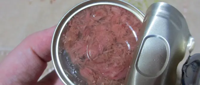 Cosenza: testa di topo nel pollo in scatola, la Procura ha aperto un fascicolo