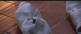 LE STATUE DI LARSEN INABISSATE NEI FONDALI DI PIZZO