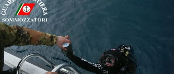Tonnetti malformati, al via i controlli della Guardia Costiera VIDEO