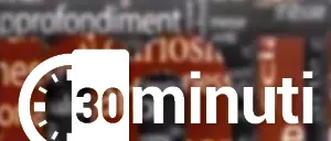 30 minuti: intervista a Bombardieri (VIDEO)