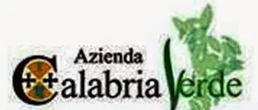 Il responsabile Ufficio stampa di ‘Calabria Verde’ non è un giornalista