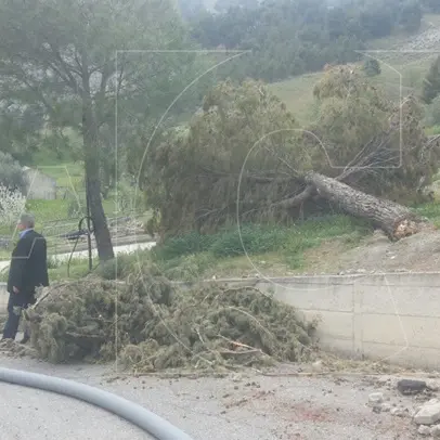 Oriolo un mese dopo, reportage dalle zone colpite dalle frane. Il sindaco: ‘promessi 600mila euro ma servono 17 milioni’ FOTO