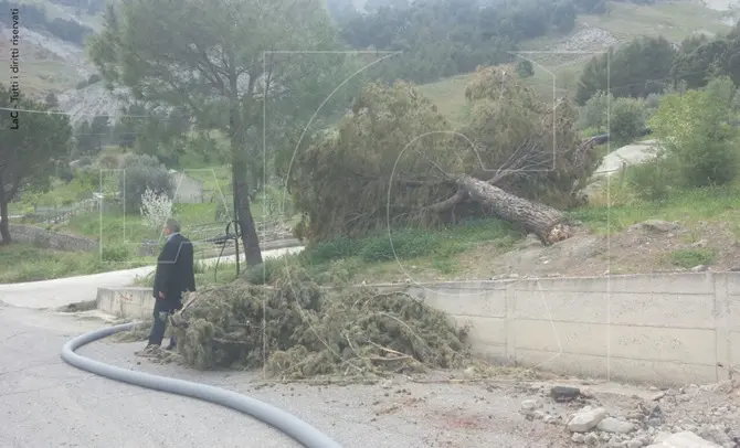 Oriolo un mese dopo, reportage dalle zone colpite dalle frane. Il sindaco: ‘promessi 600mila euro ma servono 17 milioni’ FOTO