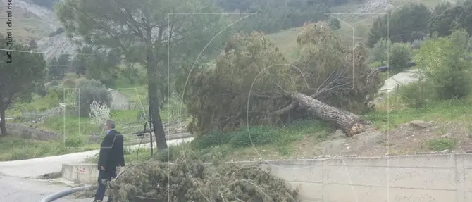 Oriolo un mese dopo, reportage dalle zone colpite dalle frane. Il sindaco: ‘promessi 600mila euro ma servono 17 milioni’ FOTO