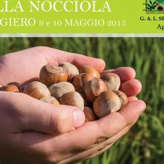 I consiglieri D'Acri, Bova e Sculco alla Assise nazionale 'Città della nocciola'