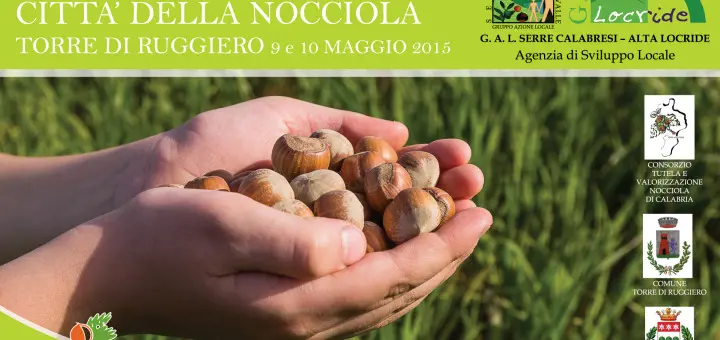 I consiglieri D'Acri, Bova e Sculco alla Assise nazionale 'Città della nocciola'