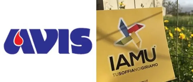 IAMU con AVIS: dalla Calabria per scoprire i valori dei donatori di sangue in tutta Italia