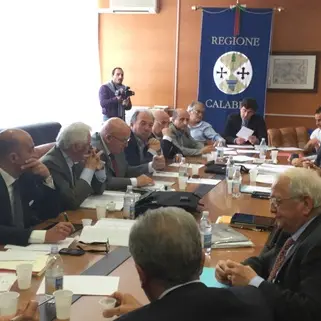 Ospedali Trebisacce e Praia a Mare, summit alla Regione