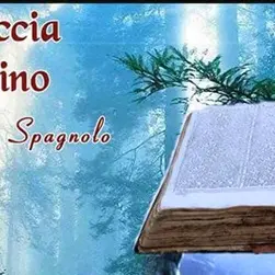 Presentato a Lamezia Terme “L’altra faccia del destino” del regista Francesco Spagnolo VIDEO