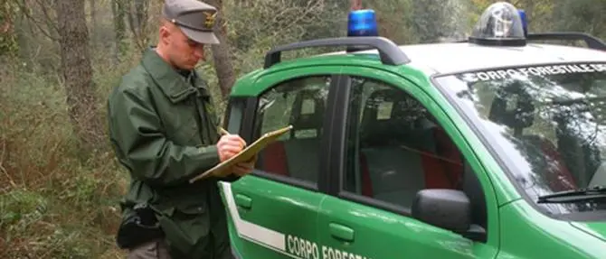 Forestali, chiesto un incontro con 'Calabria Verde'
