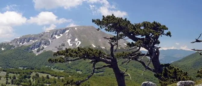 Il Parco del Pollino approda in tv per mostrare le sue meraviglie naturali