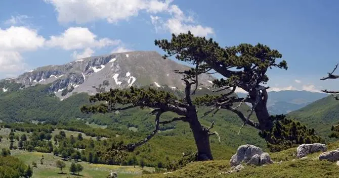 Pollino, visita ispettiva per la convalida a Geoparco mondiale Unesco