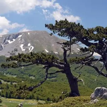 Il Parco del Pollino ottiene l’Oscar dell’ecoturismo