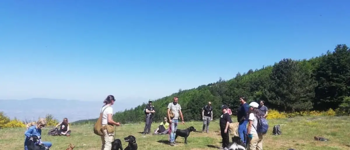 Dal Trame Festival a Lamezia all’escursione a sei zampe in Sila, ecco tutti gli eventi del fine settimana