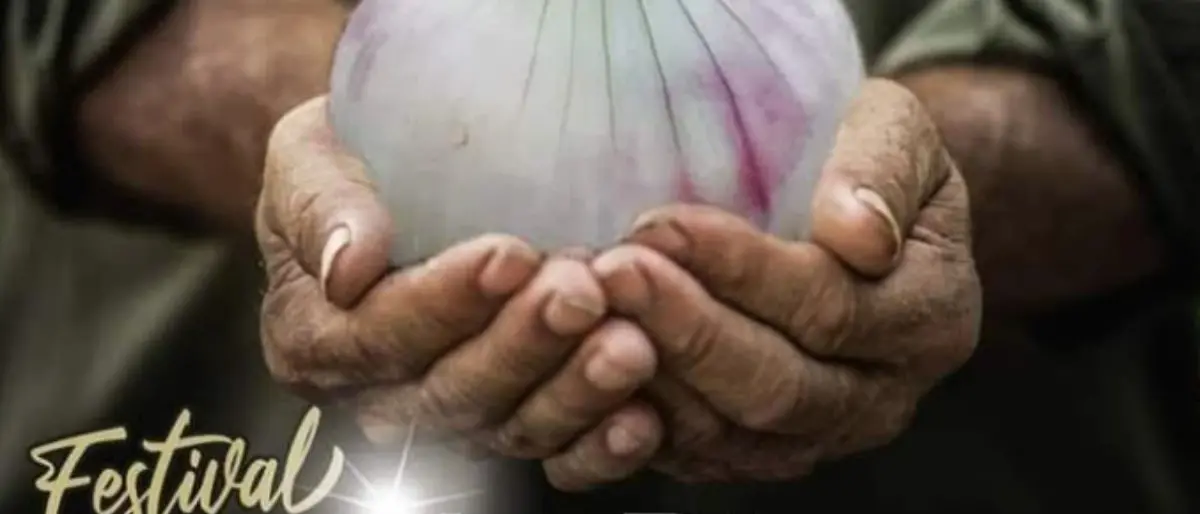 Il Festival della cipolla bianca pronto ad animare Castrovillari: previsti street food e show di cucina