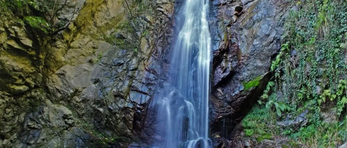 La Riserva Naturale Regionale delle Valli Cupe: un tesoro nascosto nel cuore della Presila Calabrese