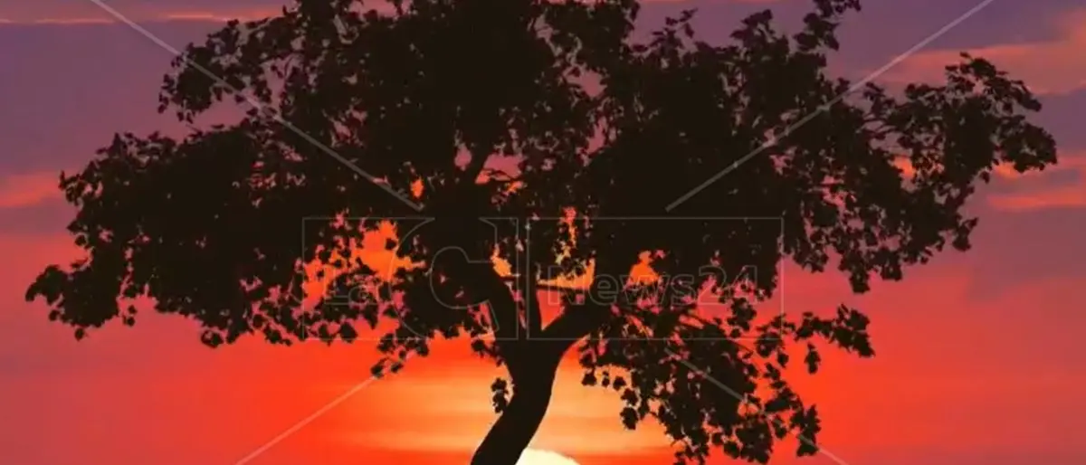 Sant’Elia, il diavolo e la nascita dello Stromboli: la leggenda che lega Palmi al vulcano siciliano