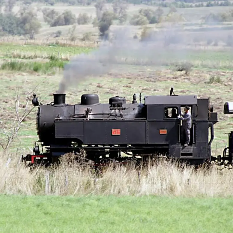 Dal Lamezia film fest al treno storico in Sila, ecco gli appuntamenti imperdibili per il fine settimana