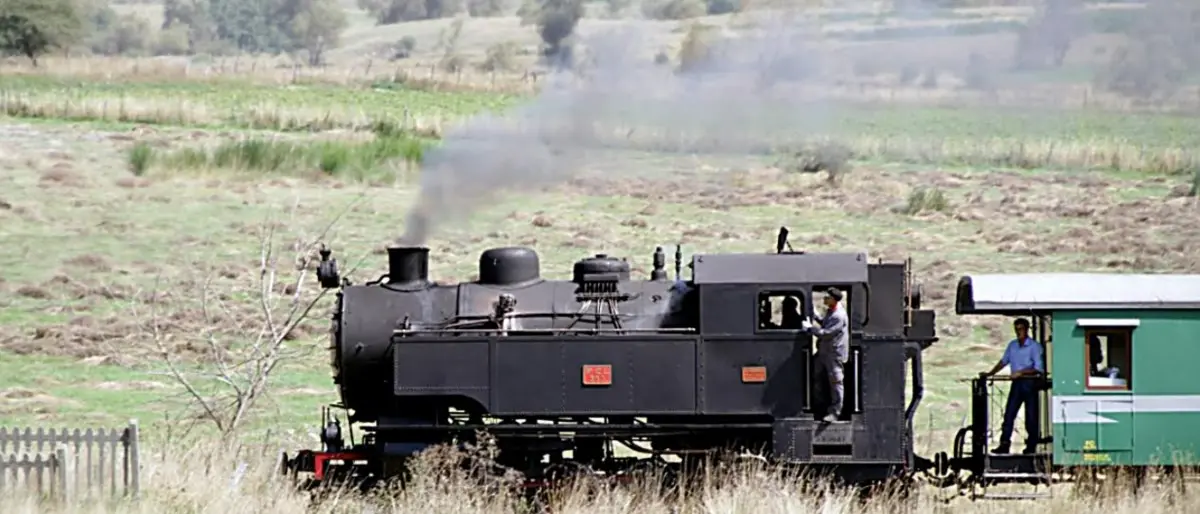 Dal Lamezia film fest al treno storico in Sila, ecco gli appuntamenti imperdibili per il fine settimana