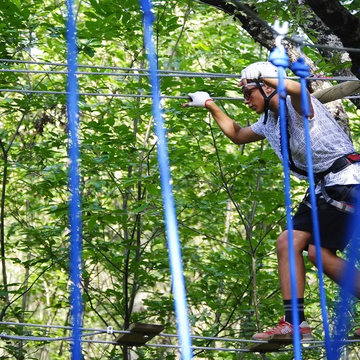 Tra corde, arrampicate e case sugli alberi: alla scoperta dei parchi avventura per bambini in Calabria