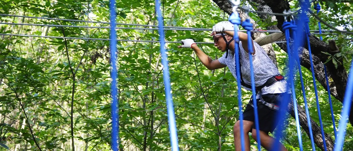 Tra corde, arrampicate e case sugli alberi: alla scoperta dei parchi avventura per bambini in Calabria