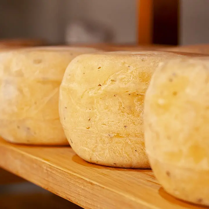 Turismo enogastronomico nel Vibonese: ecco i tre prodotti da non perdersi in vacanza