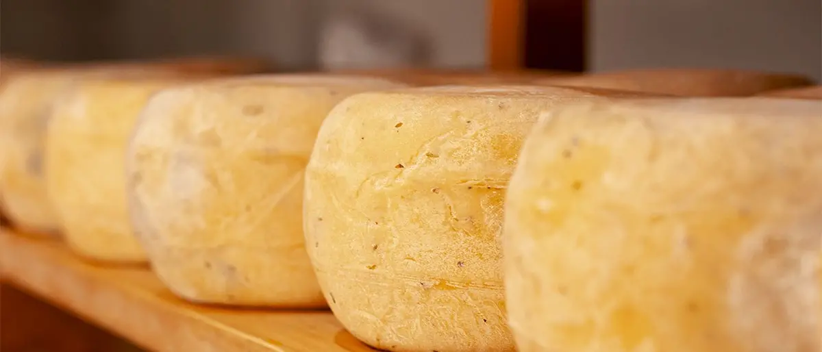 Turismo enogastronomico nel Vibonese: ecco i tre prodotti da non perdersi in vacanza