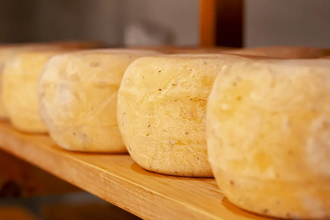 Turismo enogastronomico nel Vibonese: ecco i tre prodotti da non perdersi in vacanza