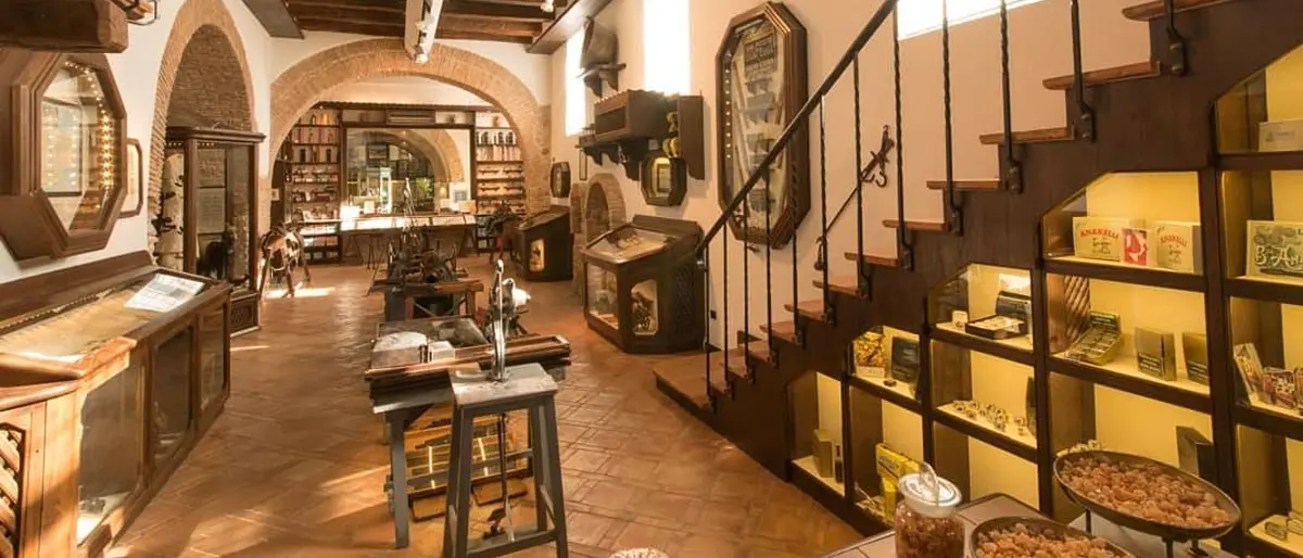 Storia, tradizioni e costumi rivivono nei musei: ecco dove fare tappa in Calabria