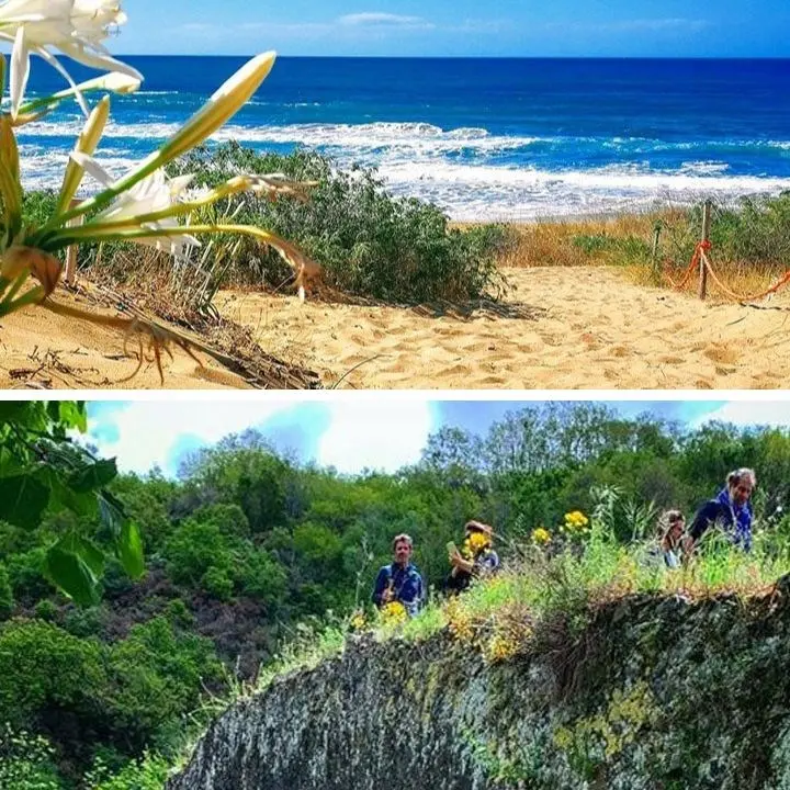 La Calabria delle meraviglie, dal mare alla montagna in meno di un’ora: ecco cosa fare a Ferragosto