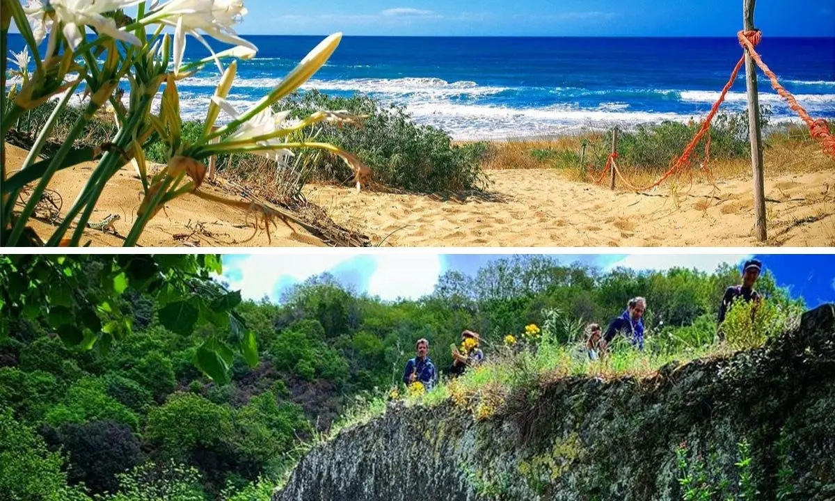 La Calabria delle meraviglie, dal mare alla montagna in meno di un’ora: ecco cosa fare a Ferragosto