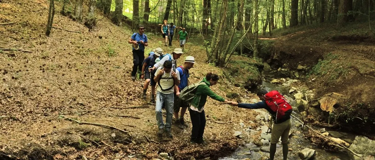 Cammini di Calabria, ecco cinque percorsi per scoprire le bellezze del territorio