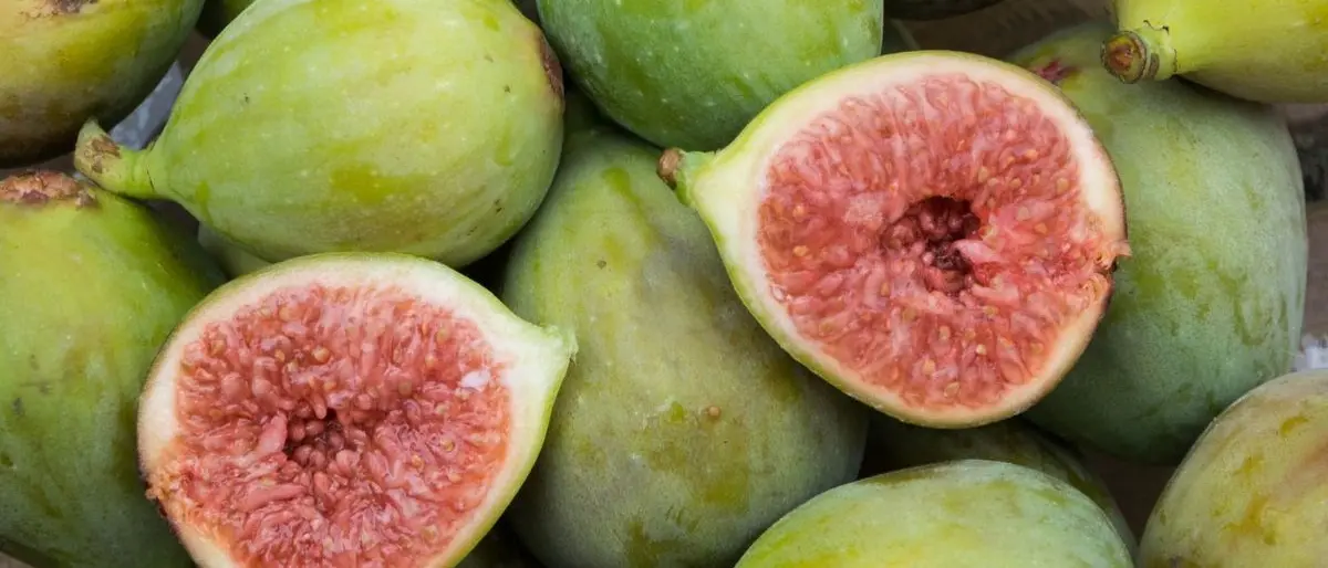 Fumetti, talk e piatti speciali: a Cosenza arriva la prima edizione del Fichi Festival