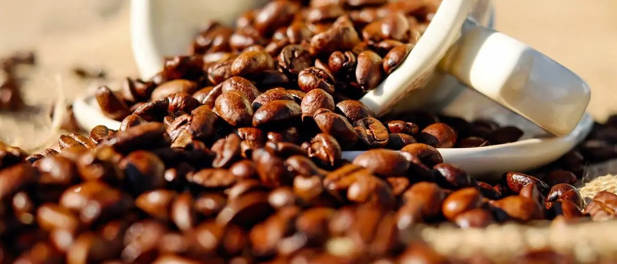 Il caffè calabrese ambasciatore dell’espresso italiano nel mondo, la storia di tre delle torrefazioni più note